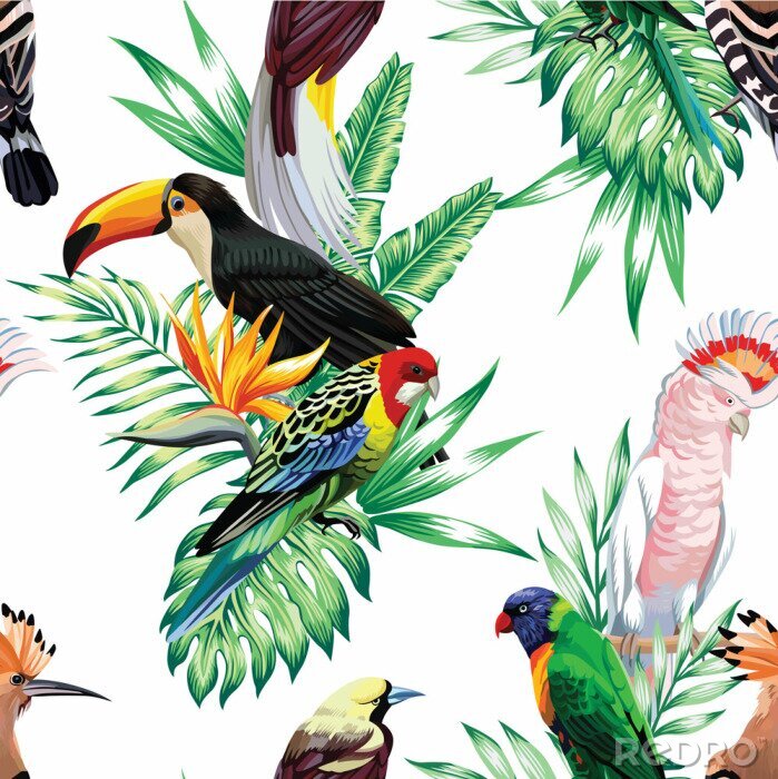 Behang 3D vogels en Afrikaanse dieren