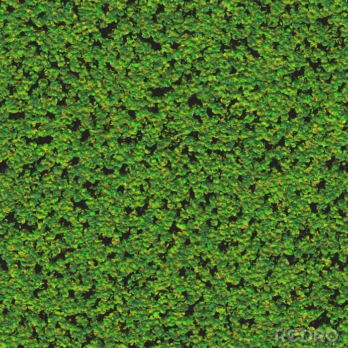 Behang Abstract groen mos