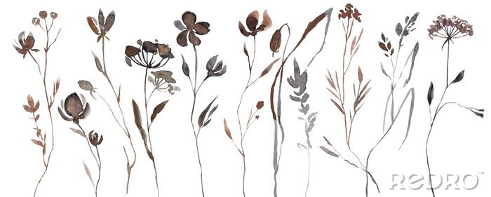 Behang Abstract Watercolor Autumn Flower Set. Herbarium in boho style. Field fall flowers. Frame fall flowers.