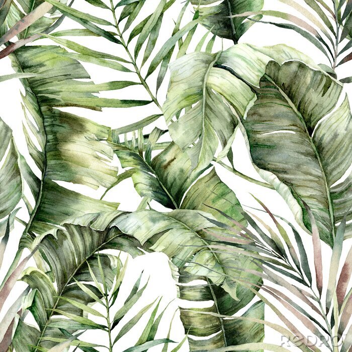 Behang Aquarel bladeren van tropische palmen en bananenboom