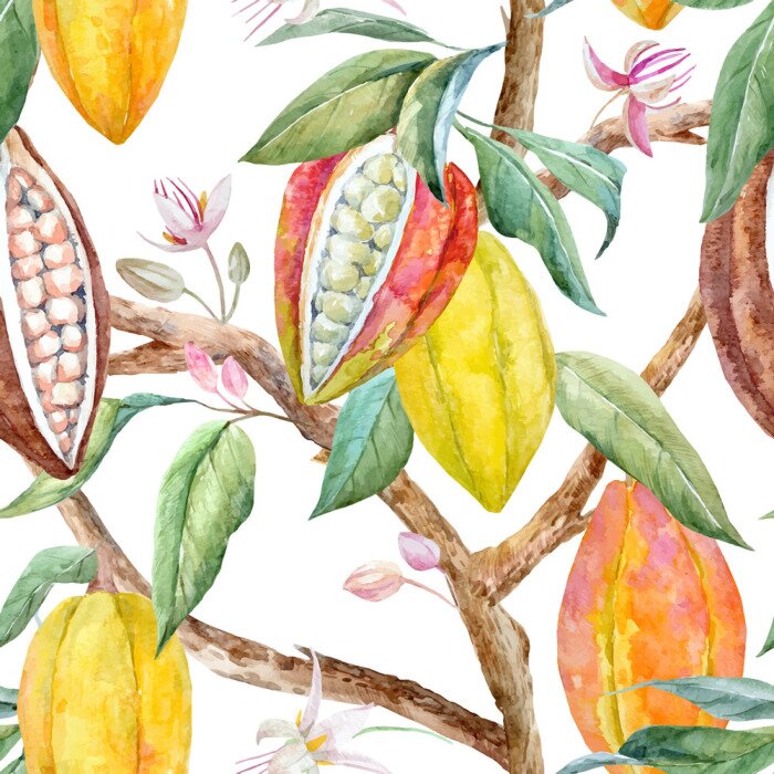 Behang Aquarel cacao fruit