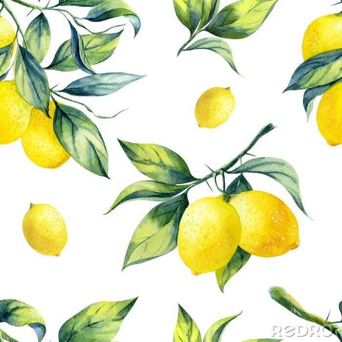 Behang Aquarel citroenen met bladeren op een witte achtergrond