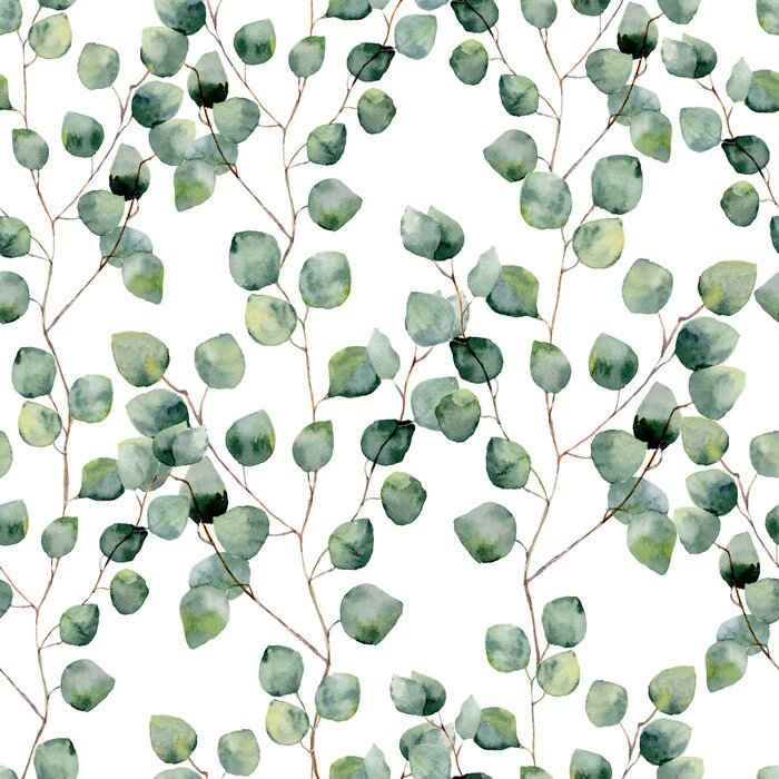 Behang Aquarel eucalyptus takken met groene bladeren op een witte achtergrond