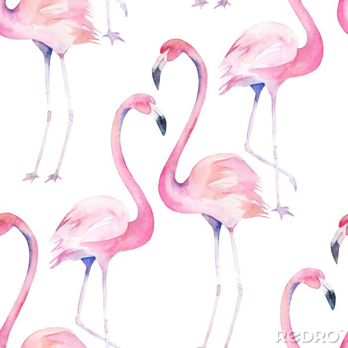 Behang Aquarel flamingo's op een witte achtergrond