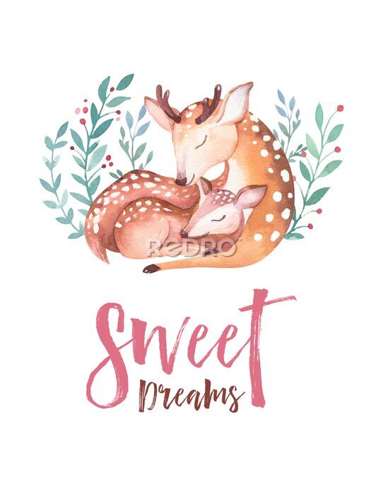 Behang Aquarel herten slapen