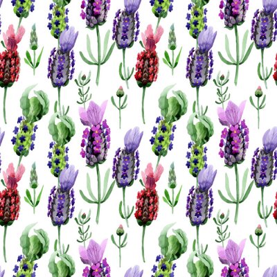 Behang Aquarel lavendelbloemen op witte achtergrond