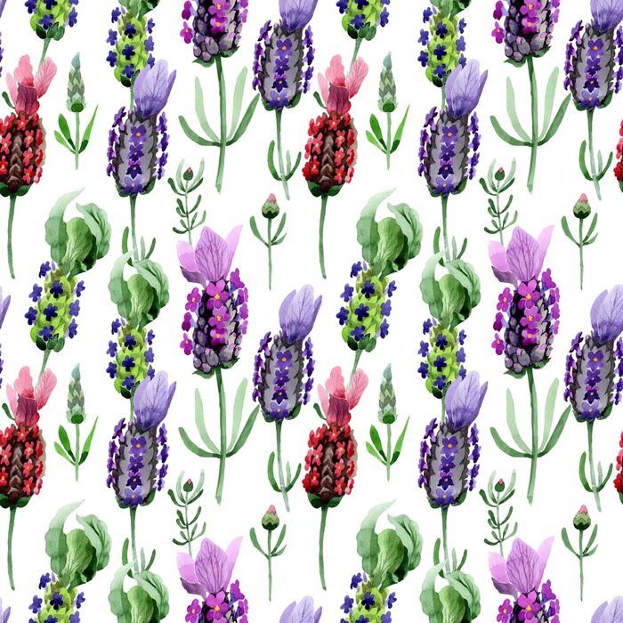 Behang Aquarel lavendelbloemen op witte achtergrond