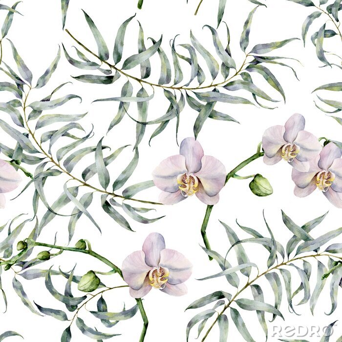 Behang Aquarel tropische patroon met eucalyptus en witte orchideeën. Hand geschilderde exotische ornament met takken met bladeren op een witte achtergrond. Natuurlijke druk voor ontwerp, stof.