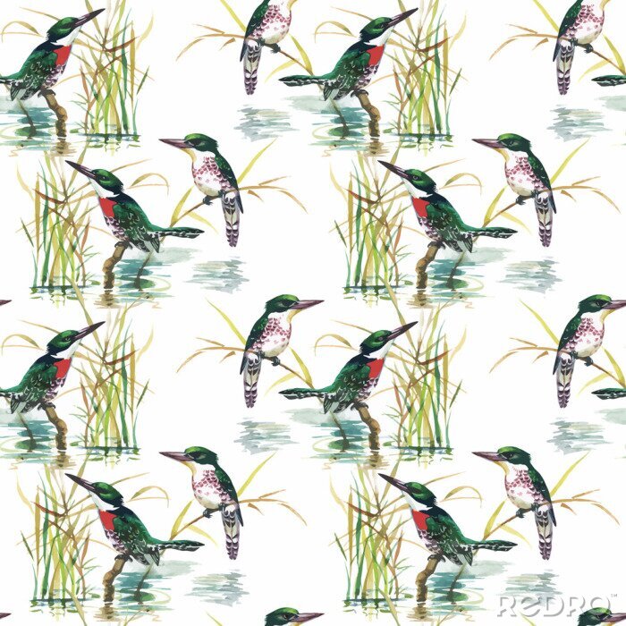 Behang Aquarel Wild exotische vogels op bloemen naadloze patroon op
