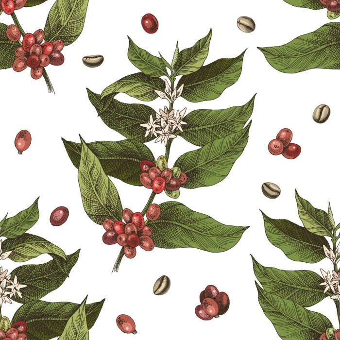 Behang Aromatische koffie