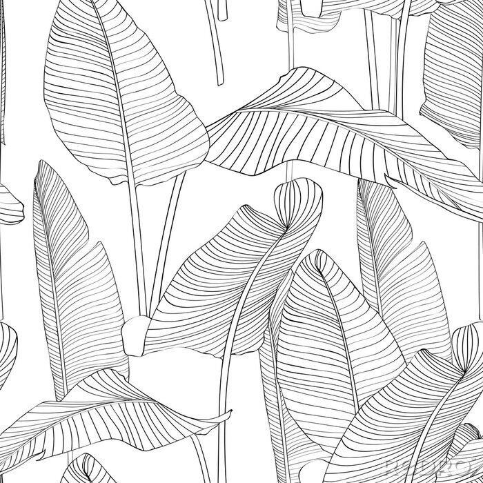 Behang Beautiful Palm Tree Leaf Silhouette Seamless Pattern Background Illustration EPS10. Black lines on white background.
