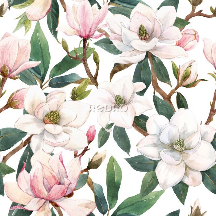Behang Beautiful seamless pattern with hand drawn watercolor gentle white and pink magnolia flowers. Stock illustration.