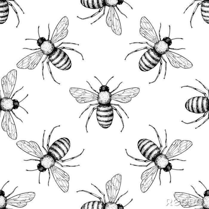Behang Bee vector seamless pattern. Hand drawn insect background. 