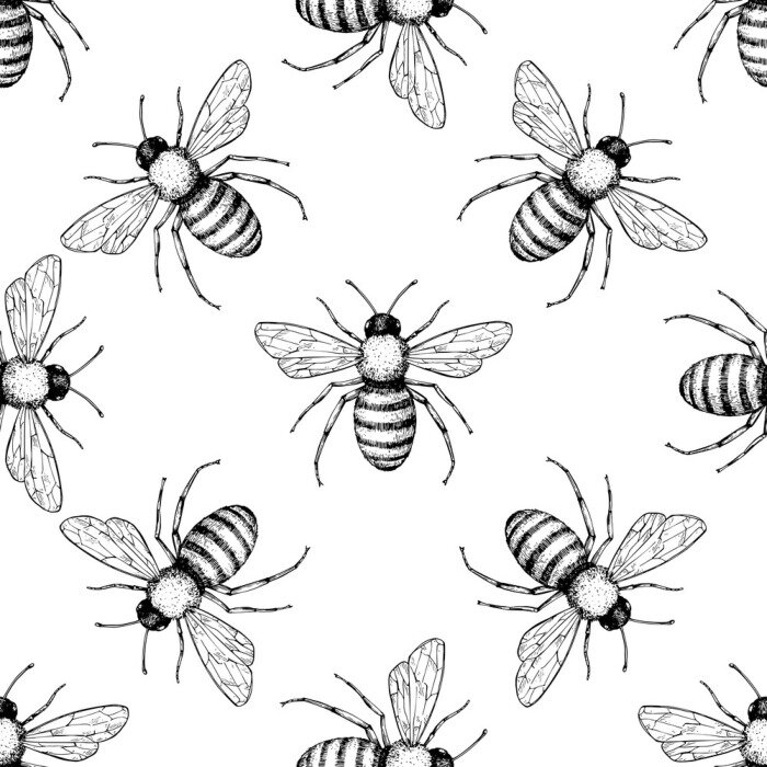 Behang Bee vector seamless pattern. Hand drawn insect background. 