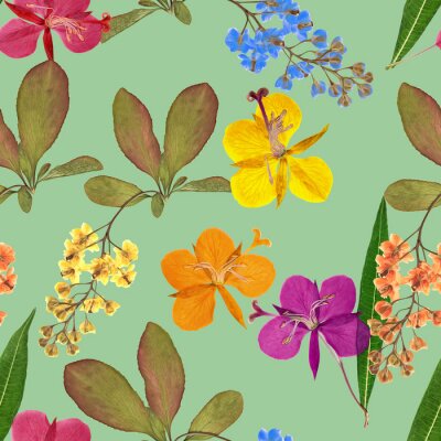 Behang Berberis en wilgenroosje op een blauwe achtergrond