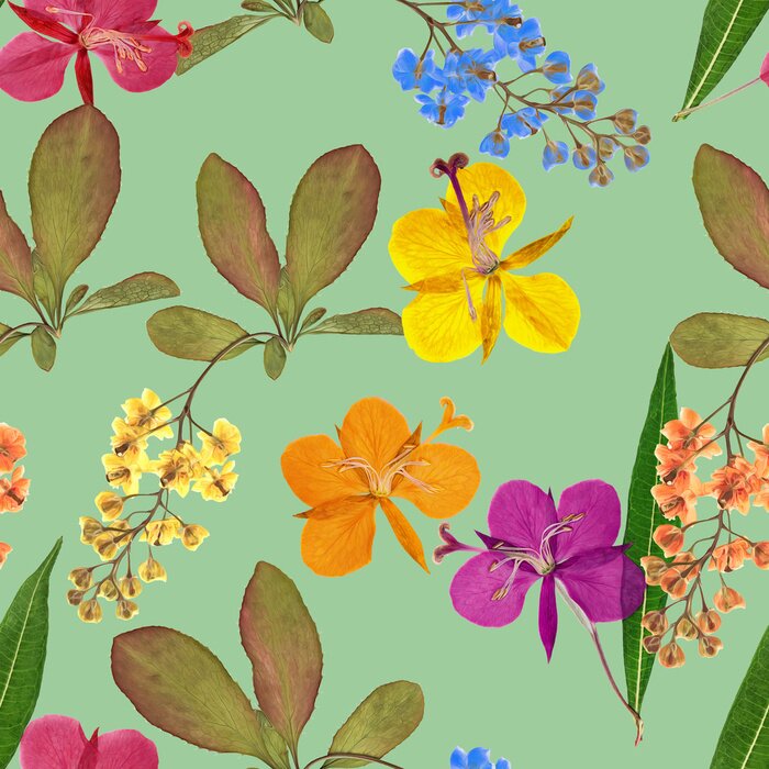 Behang Berberis en wilgenroosje op een blauwe achtergrond