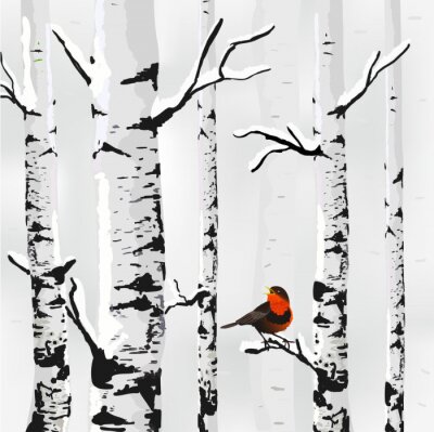 Berk in de sneeuw en een vogel