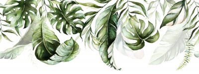 Bladeren van exotische planten