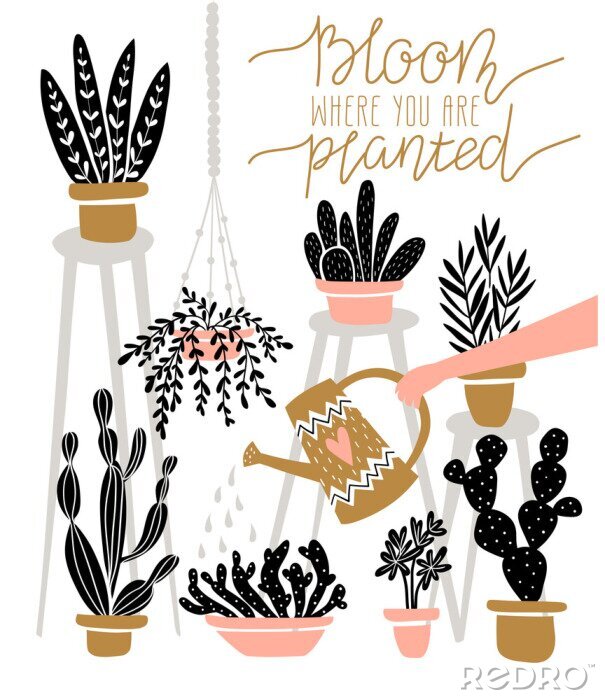 Behang Bladverliezende planten en cactussen in kleurrijke potten