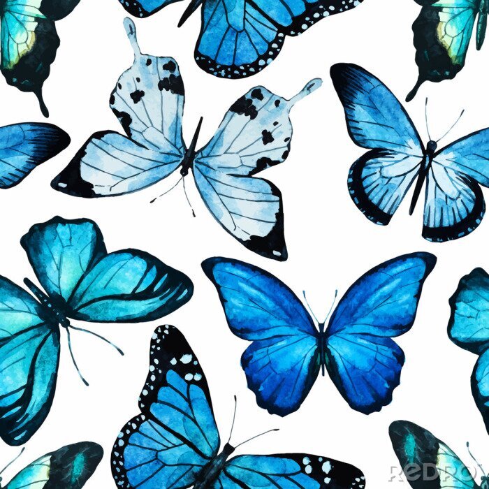 Behang Blauwe grote vlinders op een witte achtergrond