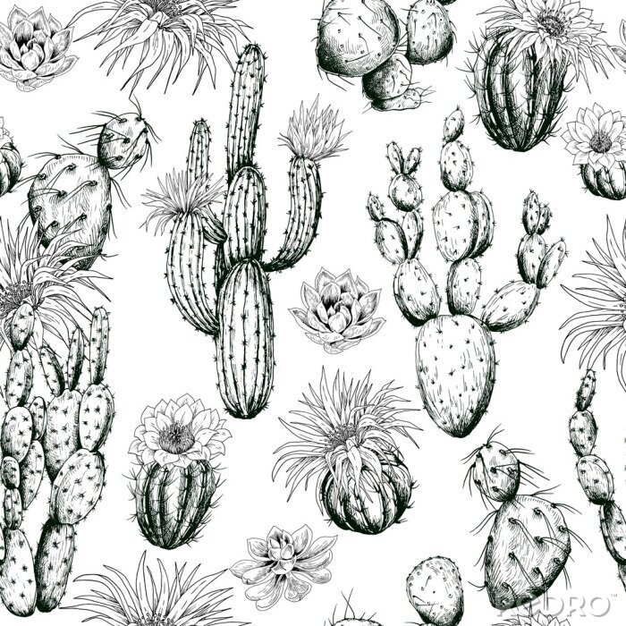 Behang Bloeiende cactussen zwart-wit patroon