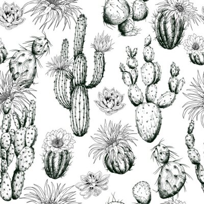 Behang Bloeiende cactussen zwart-wit patroon
