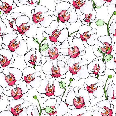 Behang Bloeiende orchideeën