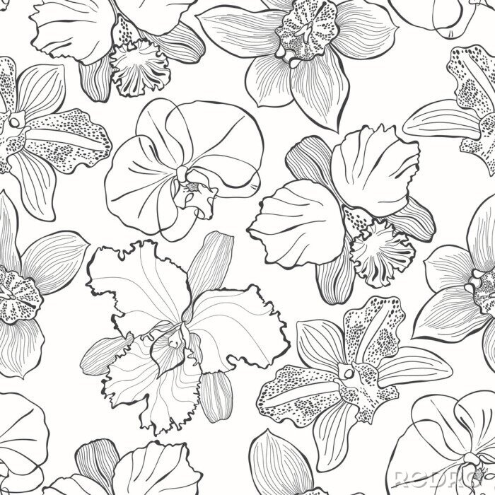 Behang Bloemen naadloos patroon met hand getrokken verschillende orchideeën. Vector zwart-witte illustratie. Contour tekenen.