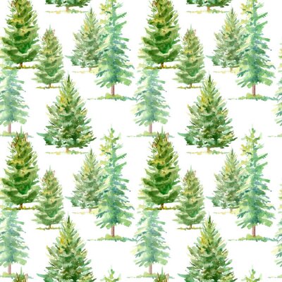 Behang Bloemen naadloos patroon van een sparrenboom.Watercolor hand getekende illustratie.Witte achtergrond.