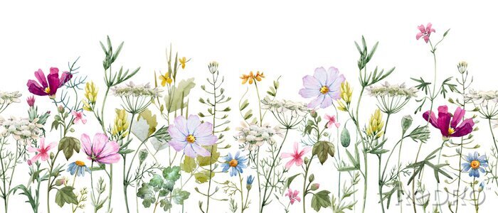 Behang Bloemen op een weide