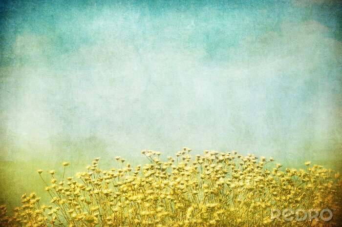 Behang Bloemenveld op een verouderde achtergrond