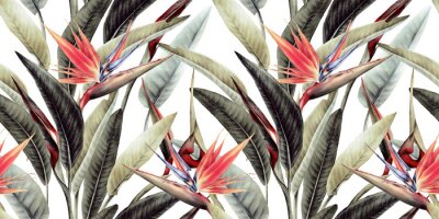 Behang Bloemmotief met tropische bladeren en strelitzia-bloemen op een witte achtergrond