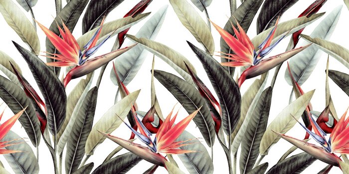 Behang Bloemmotief met tropische bladeren en strelitzia-bloemen op een witte achtergrond