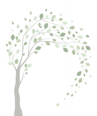 Boom met door de wind geteisterde takken