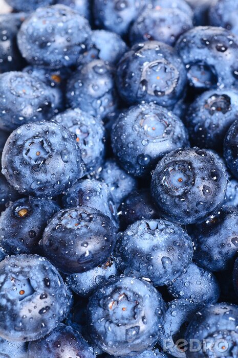 Behang Bosbessen bedekt met waterdruppels