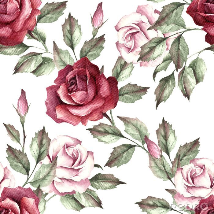 Behang Bourgondische rozen geschilderd met romantische grafische kleurpotloden