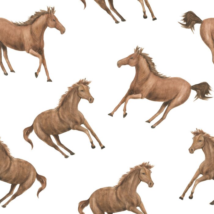 Behang Bruine paarden op een witte achtergrond