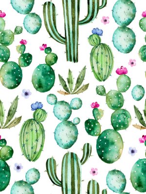 Behang Cactussen en andere tropische planten
