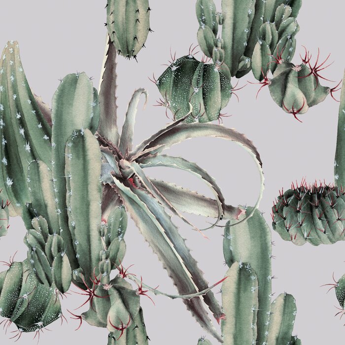 Behang Cactussen in aquarelstijl op een grijze achtergrond