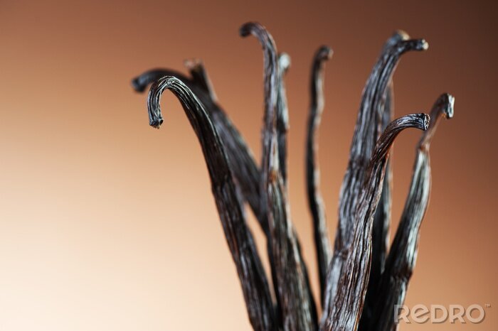 Behang Close-up van vanille