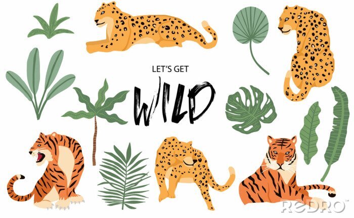 Behang Cute animal object collection with leopard,tiger. illustration for icon,logo,sticker,printable.Include wording let's get wild