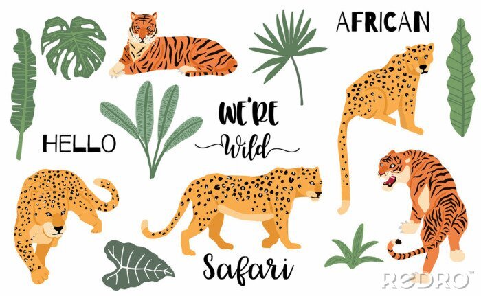 Behang Cute animal object collection with leopard,tiger. illustration for icon,logo,sticker,printable.Include wording we are wild