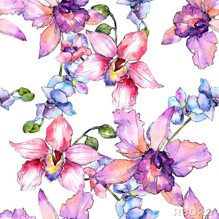 Behang De bloempatroon van de Wildflowerorchidee in een waterverfstijl. Volledige naam van de plant: kleurrijke orchidee. Aquarelle wilde bloem voor achtergrond, textuur, omslagpatroon, kader of grens.