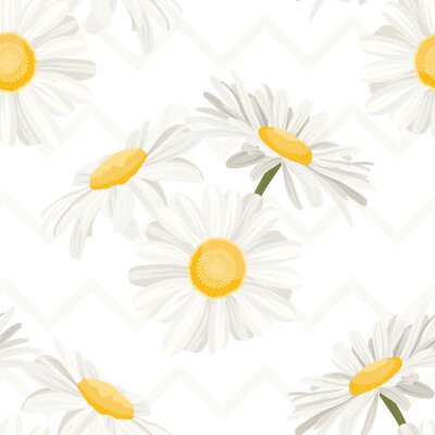 Behang Delicate grafische madeliefjes