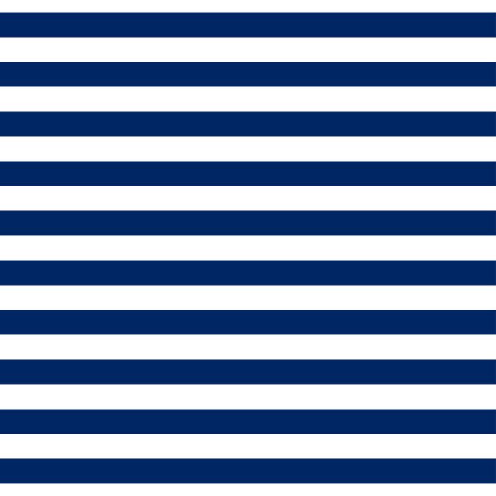 Behang Dessin met witte en marineblauwe strepen horizontaal