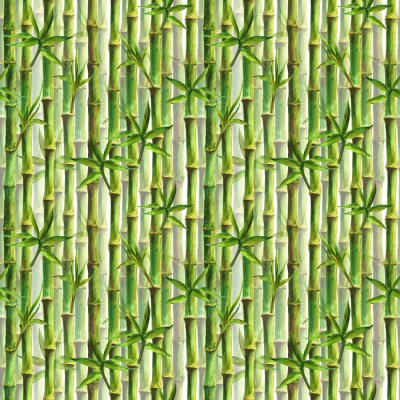 Behang Dicht beplante bamboe