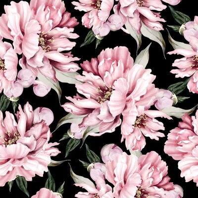 Behang Dichte pioenroos op een donkere achtergrond