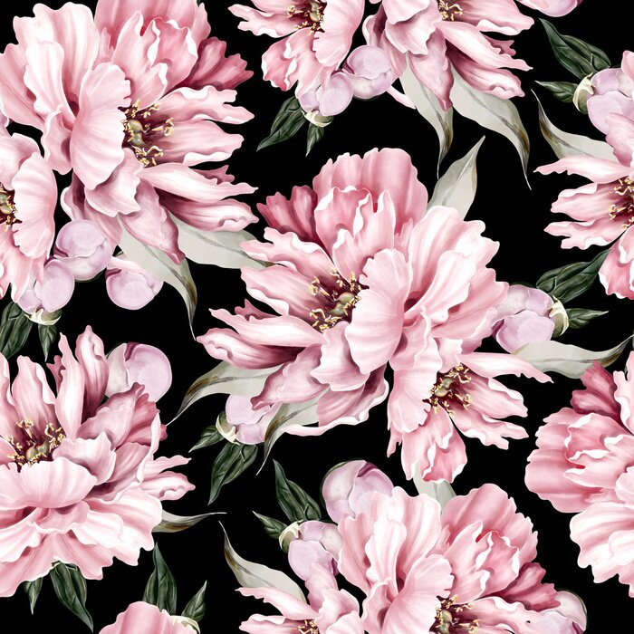 Behang Dichte pioenroos op een donkere achtergrond