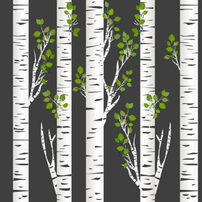 Behang Donkere nacht in de berken