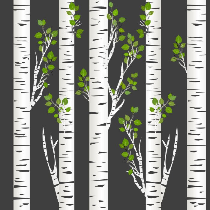 Behang Donkere nacht in de berken